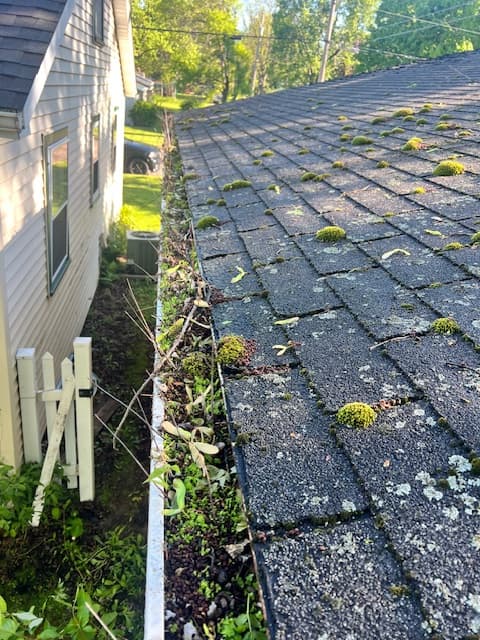 Gutter before cleaning from the Gutters 419 set