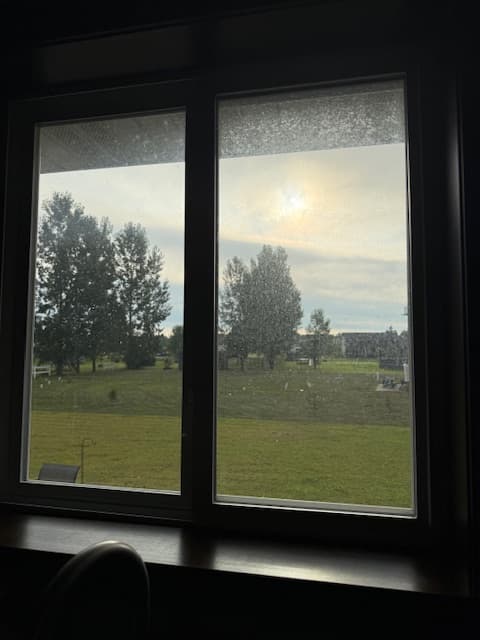 Window before professional cleaning with visible buildup from the Windows 419 set