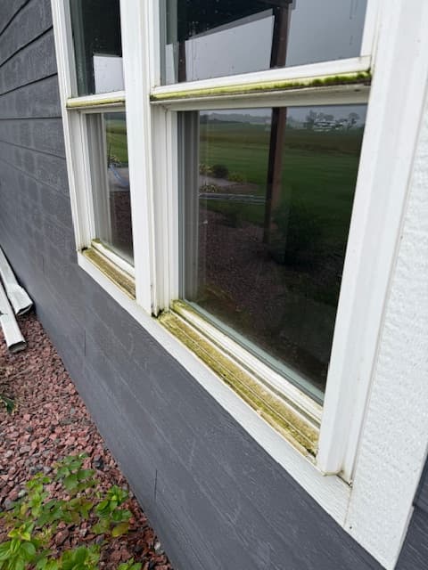 Window before professional cleaning from the later Windows 420 set