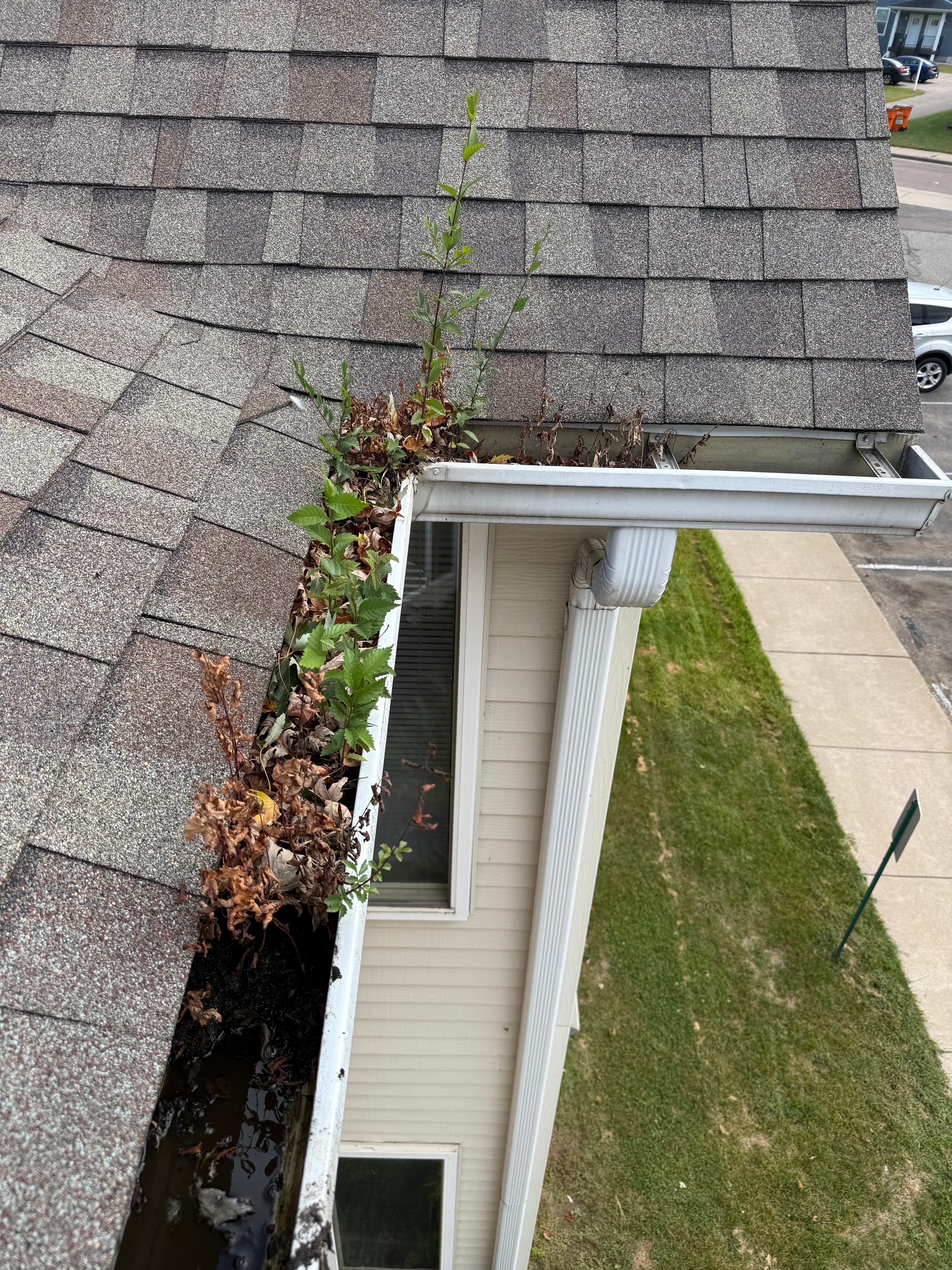 Gutter before cleaning with buildup along the run
