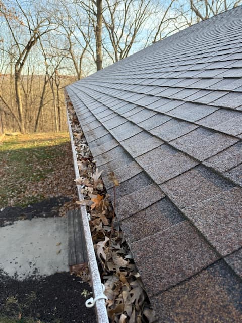 Gutter before cleaning with dense debris buildup