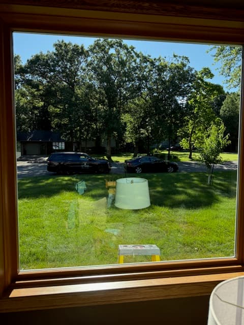 Window after professional cleaning with streak-free glass